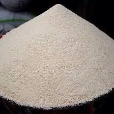 Gari